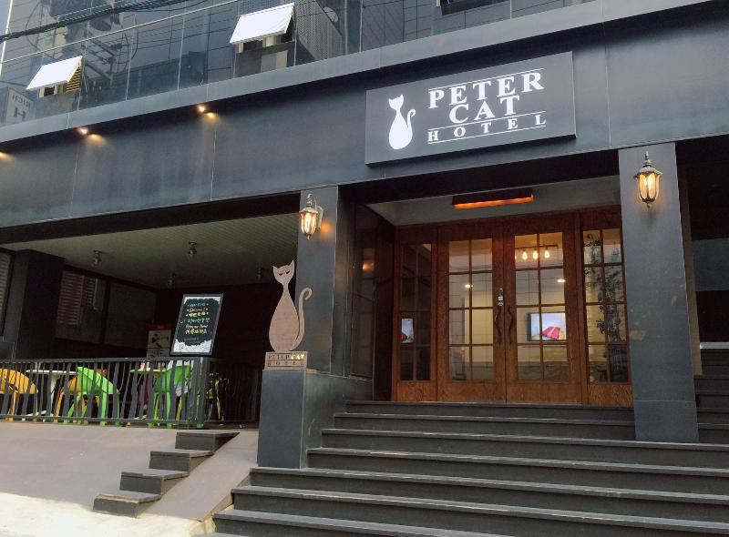 hotel Petercat Hotel Sinchon (hongdae)